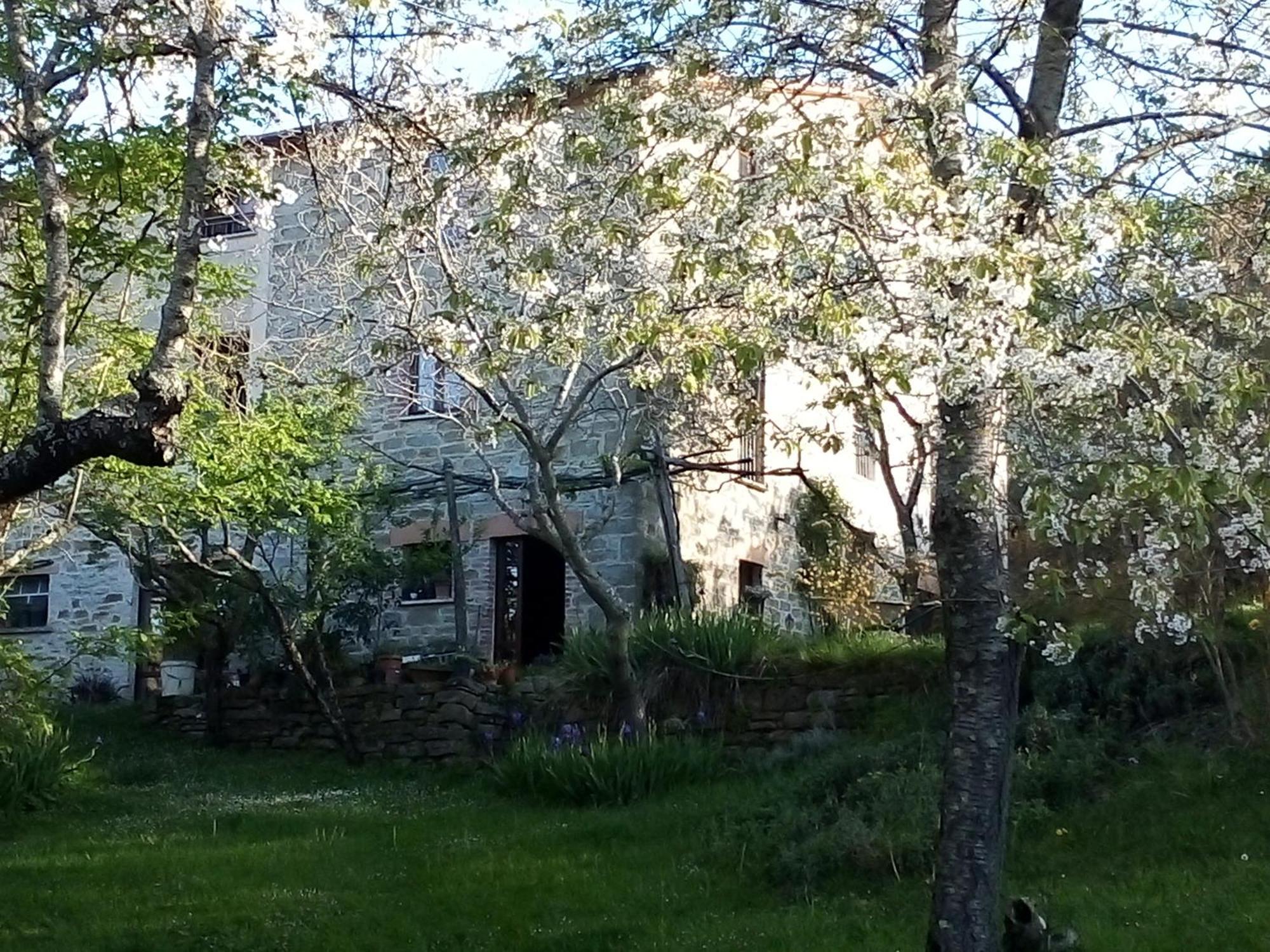 פייטרלונגה La Fonte B&B מראה חיצוני תמונה