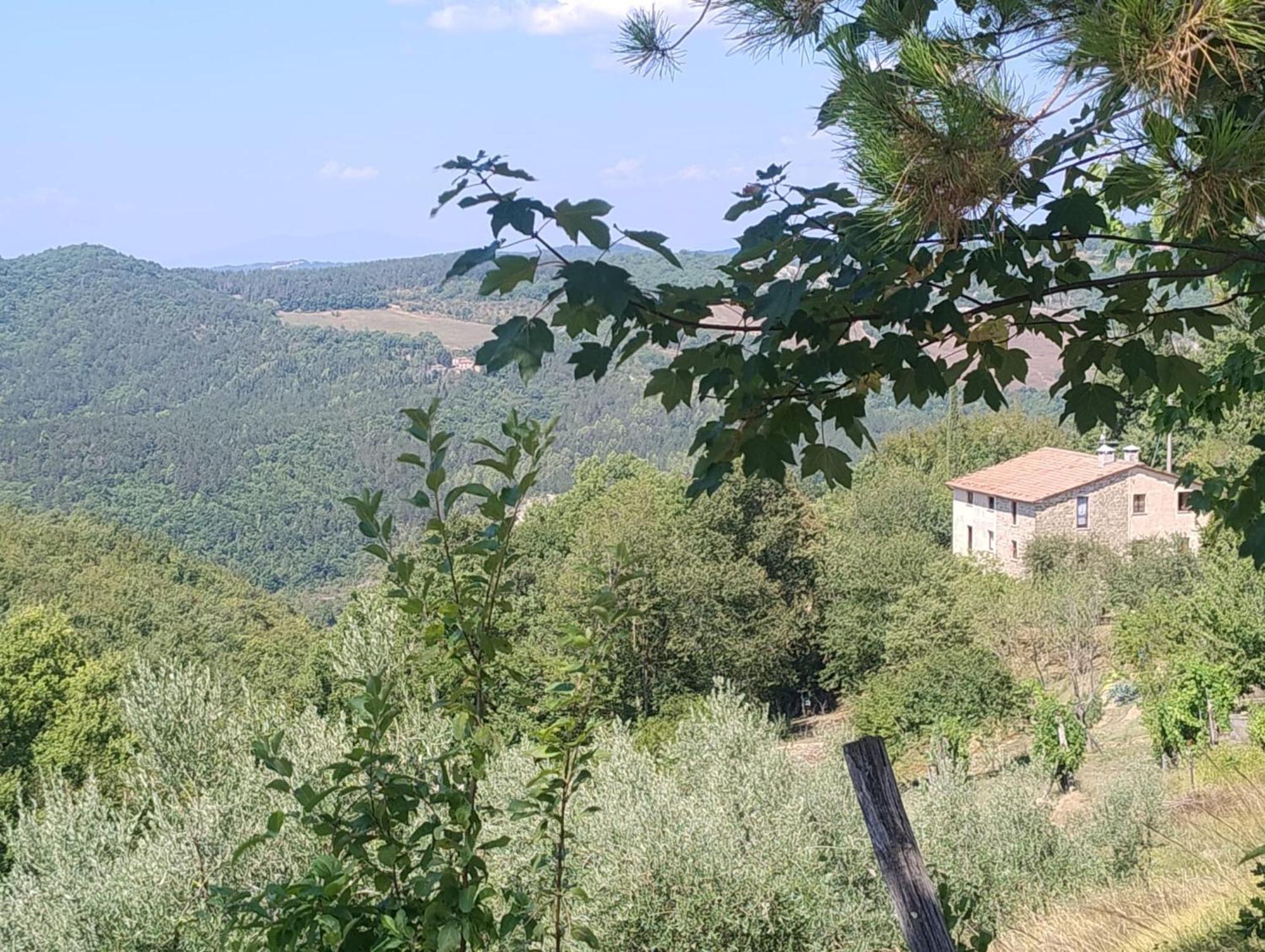פייטרלונגה La Fonte B&B מראה חיצוני תמונה