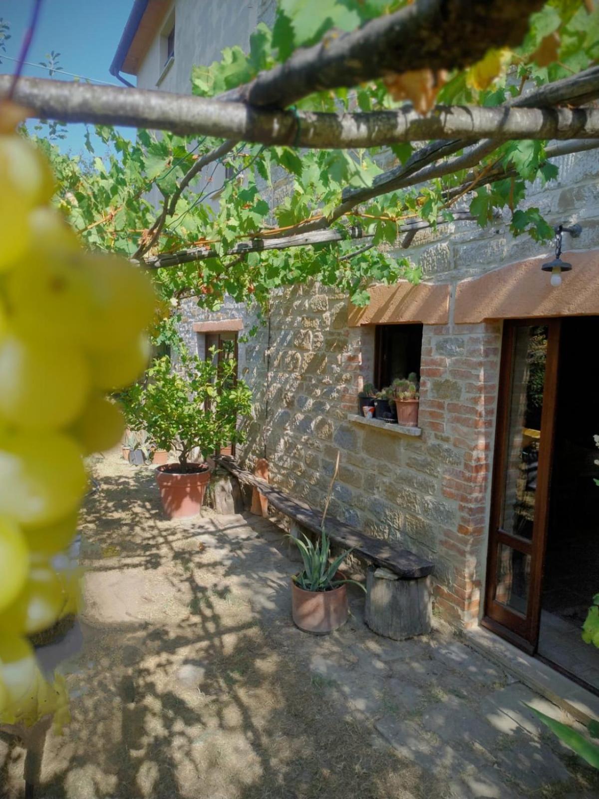 פייטרלונגה La Fonte B&B מראה חיצוני תמונה