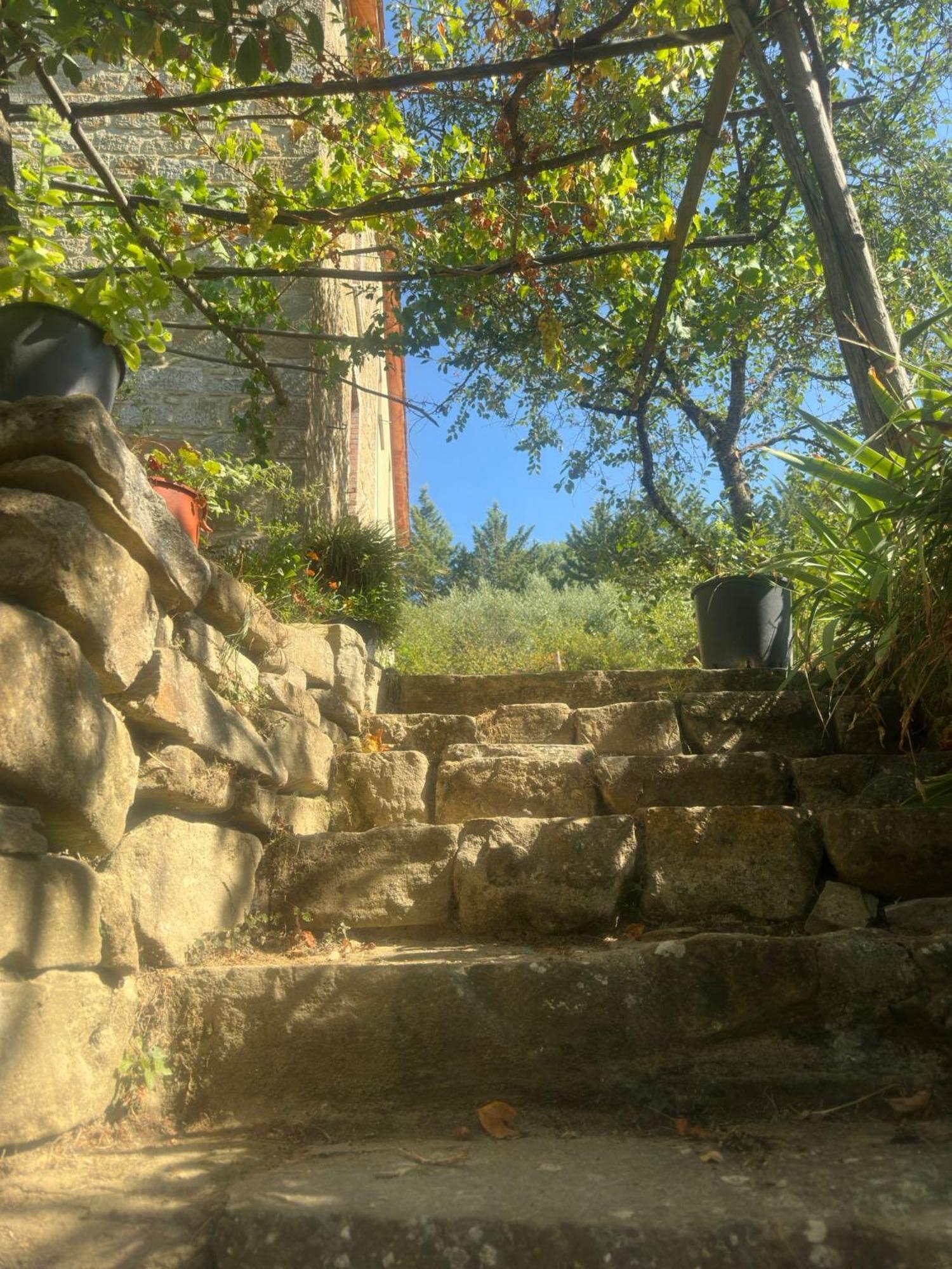 פייטרלונגה La Fonte B&B מראה חיצוני תמונה
